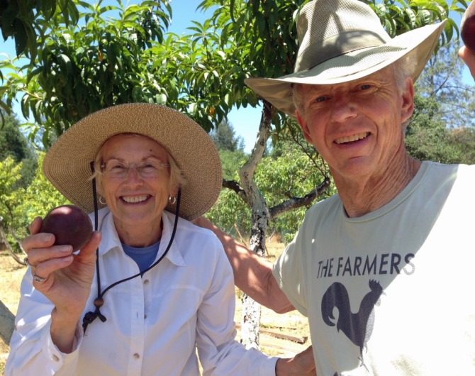 In the Orchard In the Orchard