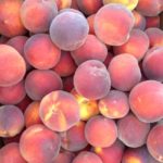 Peaches