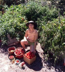 Tomato Picking