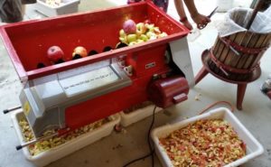 Chopping Apples