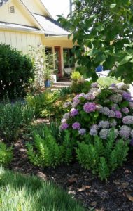House & Garden