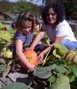 Pumpkin Picking