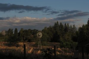 Windmill View