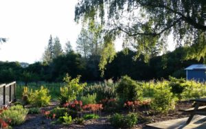 Gardens