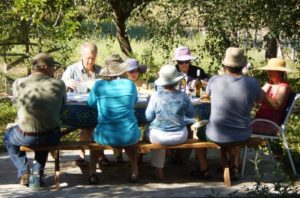 Summer Picnic with Friends